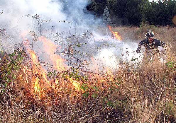 Bomberos brindan recomendaciones para evitar incendios en pastizales y basurales ante la sequía