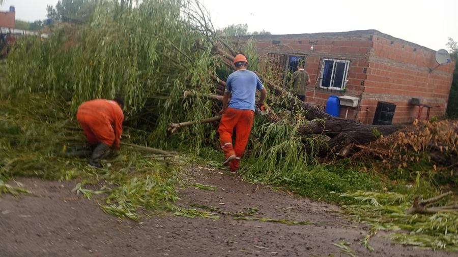 Fuerte tormenta: algunos daños en V.G.Gálvez tras fuertes ráfagas de viento