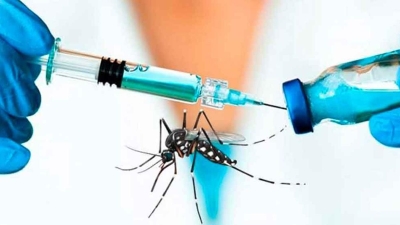 Urgencia en la Vacunación contra el Dengue: Advertencia de Leonardo Caruana