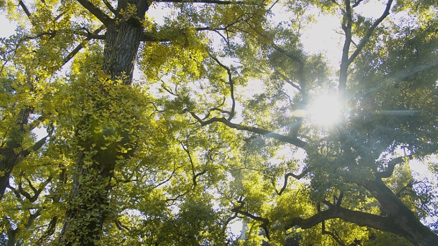 Bajó la temperatura en la Región, pero serán dias con sol