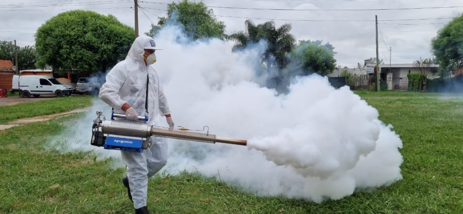 Dengue: 36 nuevos casos autóctonos sumado a uno de chikungunya en Santa Fe