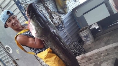 Encontraron muerto en el río al joven pescador que desapareció en la costa de Pueblo Esther