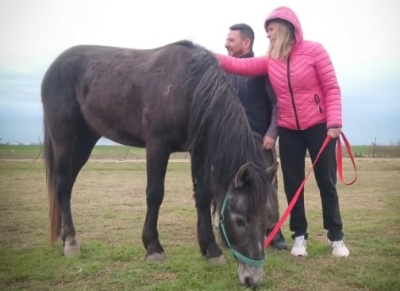 Villa Gobernador Gálvez avanza en la erradicación de la tracción a sangre animal