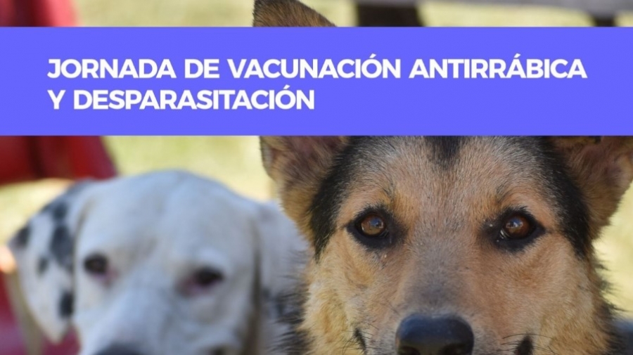 Campaña de vacunación para perros y gatos