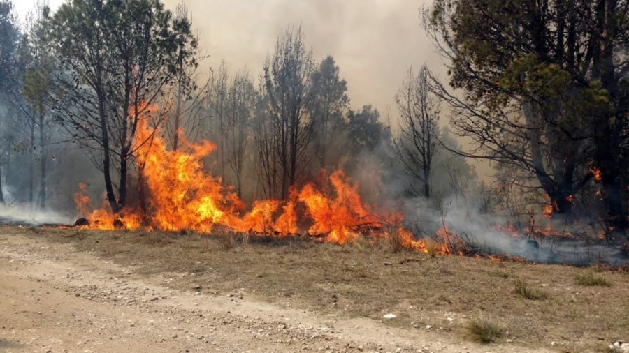 Brigadistas jujeños trabajan para evitar que un incendio alcance a las yungas