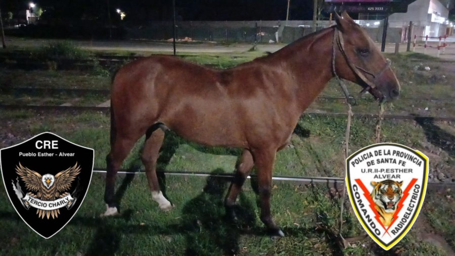 Importantes procedimientos de seguridad durante el fin de semana en Pueblo Esther y la región