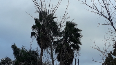 Nublado y sin lluvias