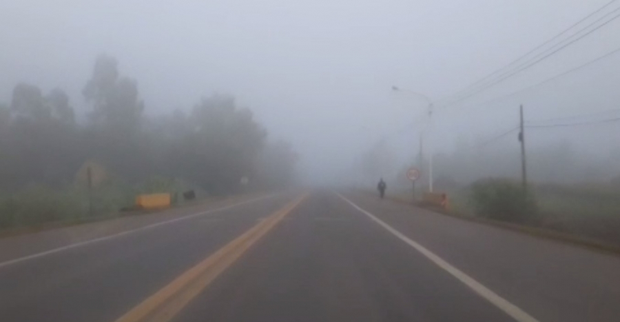 Densa niebla afecta a toda la región