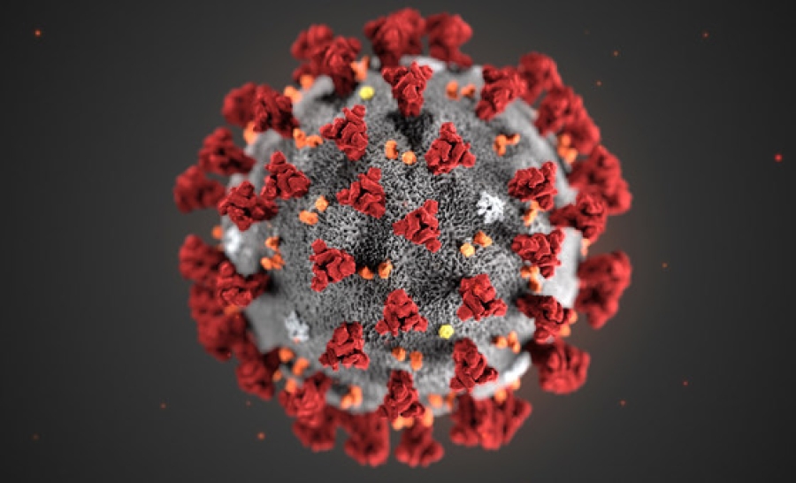 Alerta por la nueva subvariante EG.5.1 del coronavirus