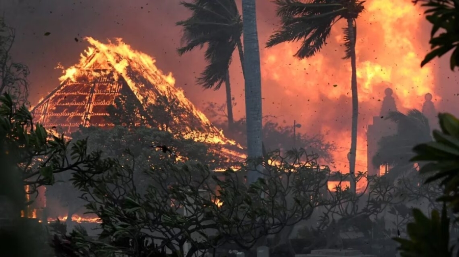 Más de 50 muertos en incendios forestales en Hawaii, EE.UU. Hay &quot;estado de emergencia&quot;