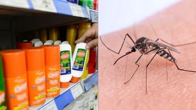 El gobierno argentino abre la importación de repelentes en medio de brotes históricos de dengue