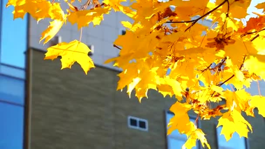 El otoño sorprende con más días cálidos y soleados