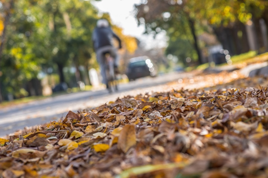 El otoño se instaló en la región con mañanas frescas y tardes agradables