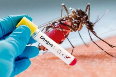 Desde el inicio de año ya son más de 48000 casos confirmados de dengue en la provinicia