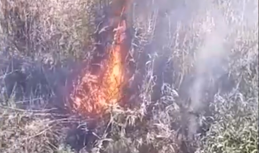 Incendio en la Reserva Natural de V. G. Gálvez