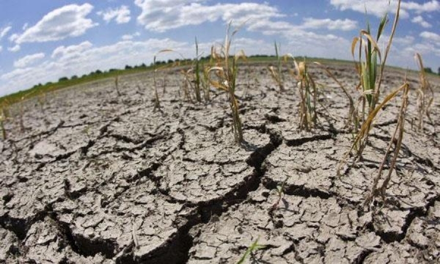 Emergencia agropecuaria declarada en Entre Ríos