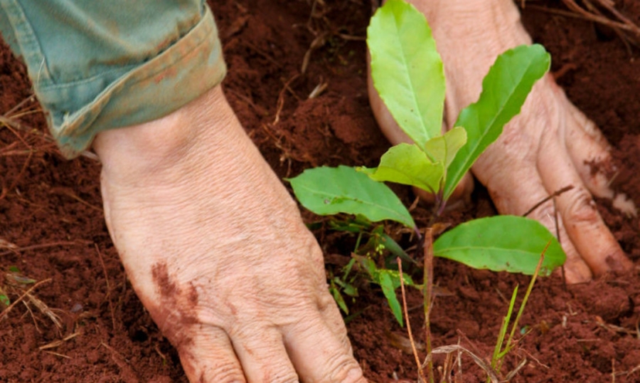 8 de septiembre: Día del Agricultor