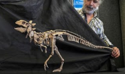 Presentaron a Jakapil, el primer dinosaurio de su tipo encontrado en el Hemisferio Sur