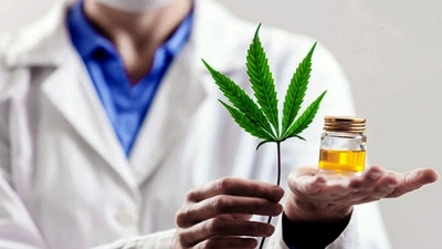 Cannabis medicinal: Un gran porcentaje de profesionales en Santa Fe recibió consultas por cannabis medicinal