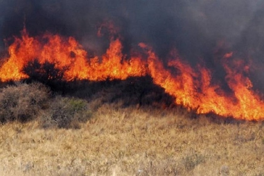 Bomberos de VGG: Más de 15 servicios en estos días por quema de pastizales en la región