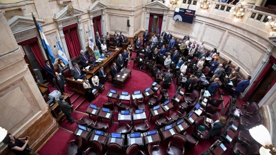 El Senado aprobó el Presupuesto 2023