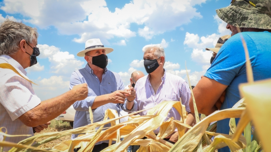 La Provincia informó el mecanismo para acceder a la Emergencia Agropecuaria 2022