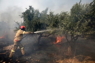 Europa sufre incendios debido al calor intenso y China vive sus peores temperaturas