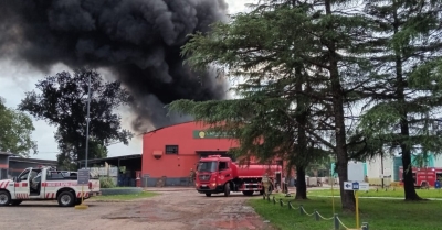 Perdidas totales en la planta incendiada de Cromosol