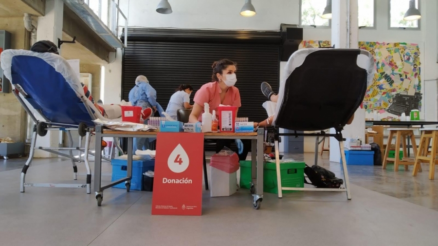 Cronograma de colecta de sangre durante febrero