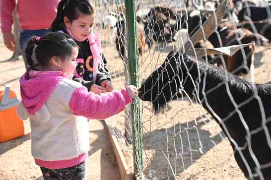 Granja educativa: Un espacio de disfrute y aprendizaje en VGG