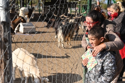 LA MUNICIPALIDAD TIENE PLANIFICADO UN FIN DE SEMANA REPLETO DE ACTIVIDADES PARA DISFRUTAR EN FAMILIA