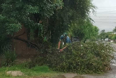 Cuadrillas trabajan en V.G.Gálvez tras el paso de la tormenta