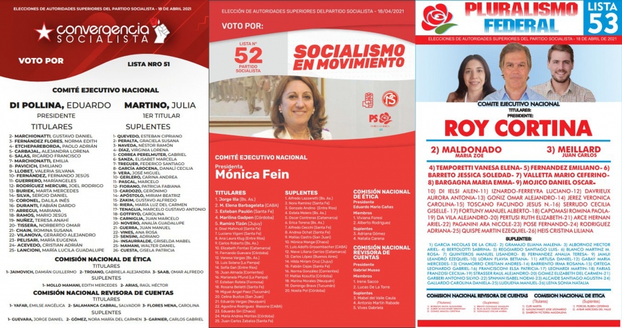 El partido Socialista renueva autoridades este domingo