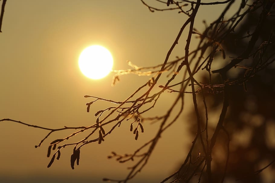 Un día mas de calor para la región