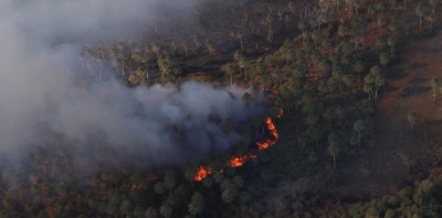 Valdés aseguró que los incendios se redujeron un 30%