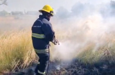 Incendio de pastizal: tercera salida del día de Bomberos